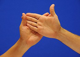 Cómo coger las manos en el dactilológico en palma